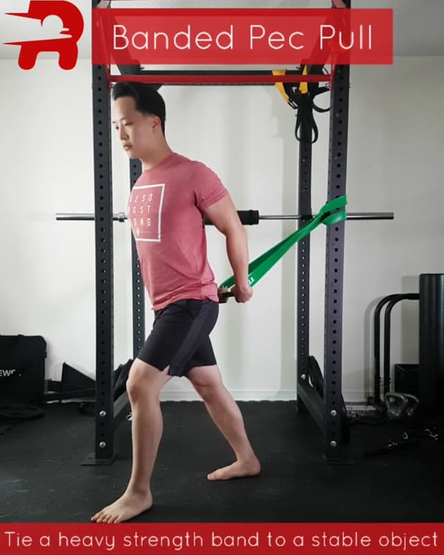 Banded Pec Pull