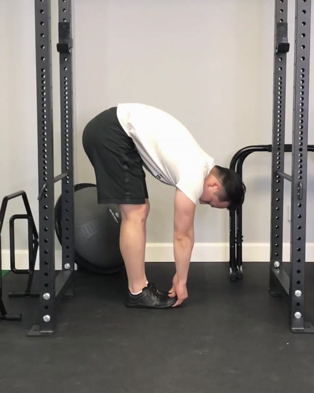 Progressive Toe Touches