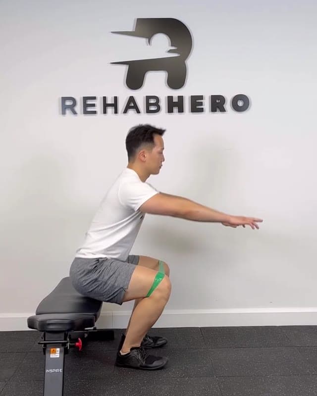 Banded Box Squat