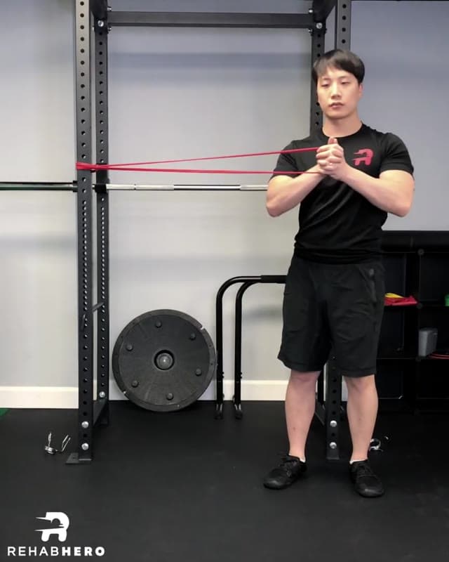 Pallof Press