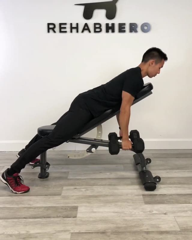 Incline Bench Row