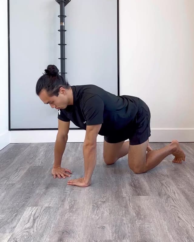 Quadruped Wrist Circles