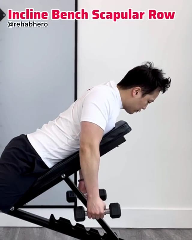 上斜凳肩胛划船