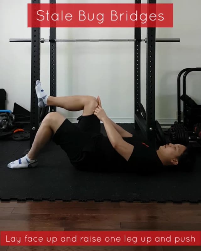 死虫桥式