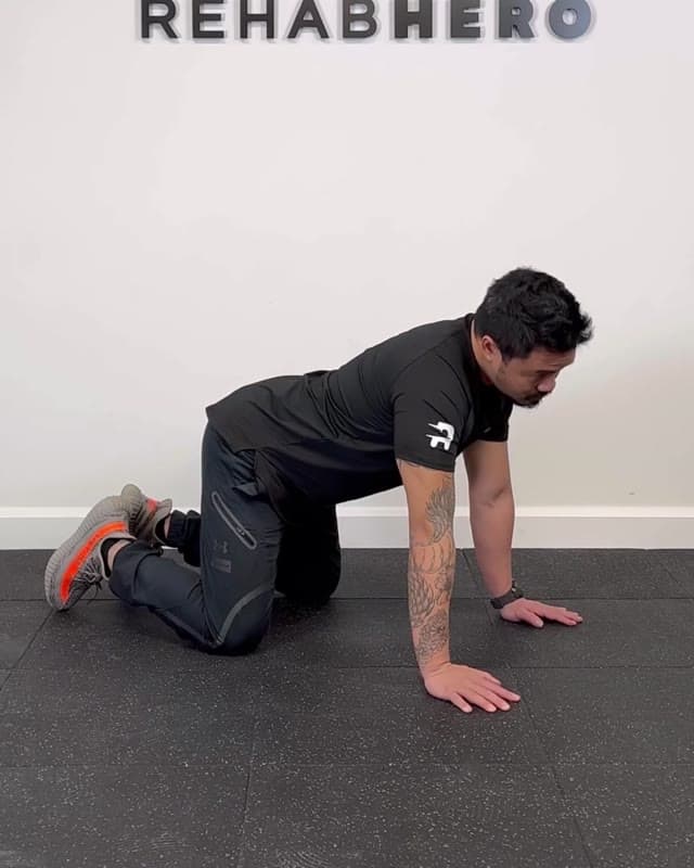 Quadruped Neck Circles