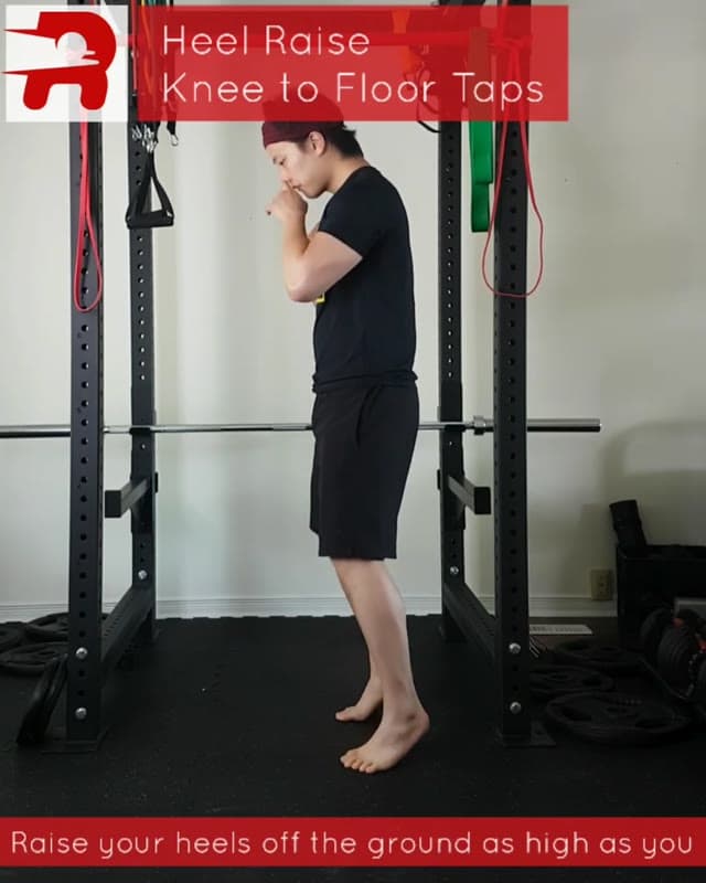 Heel Raise Knee To Floor Taps