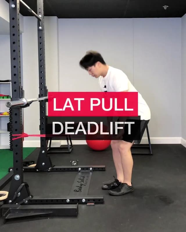 背阔肌下拉硬拉