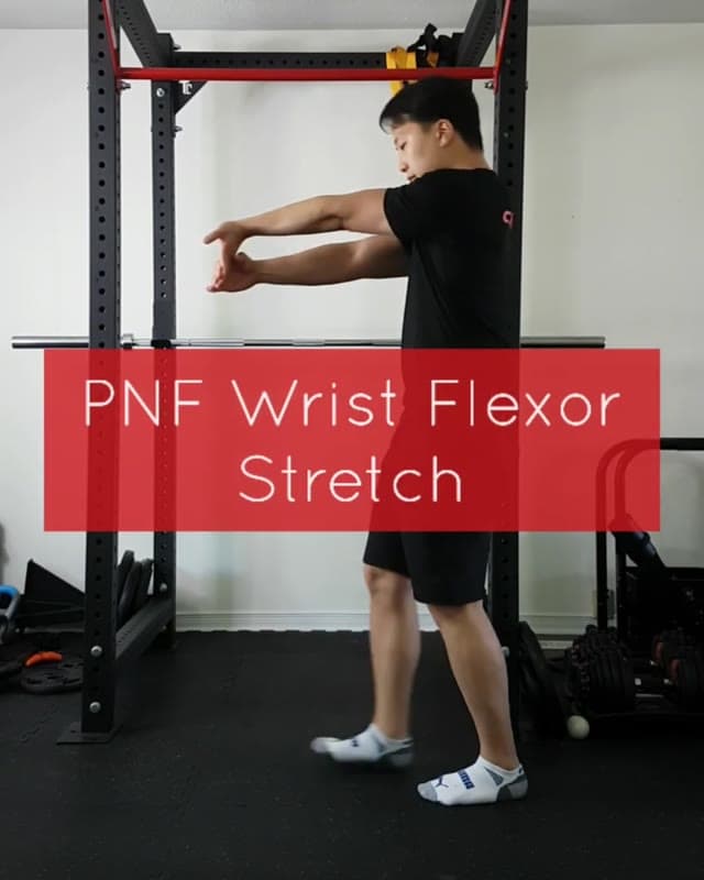 PNF 腕屈肌拉伸