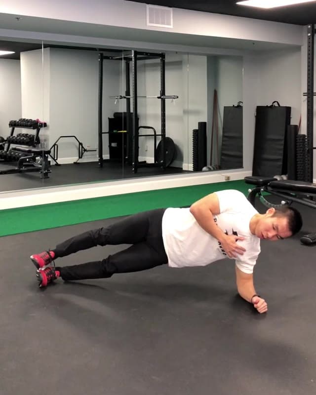Side Plank Side Kick