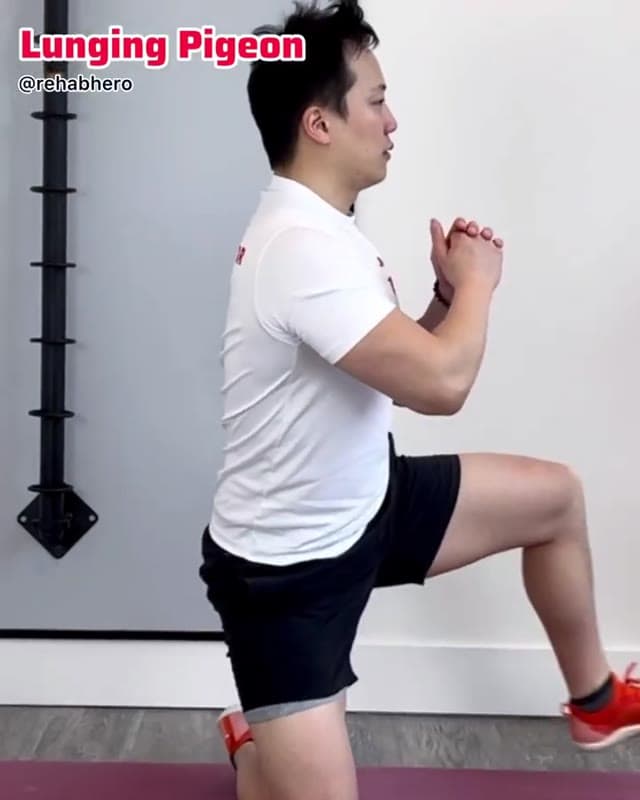 Lunging Pigeon