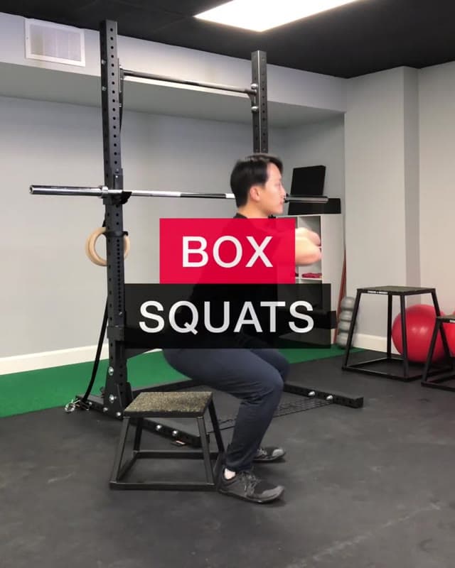 Box Squats