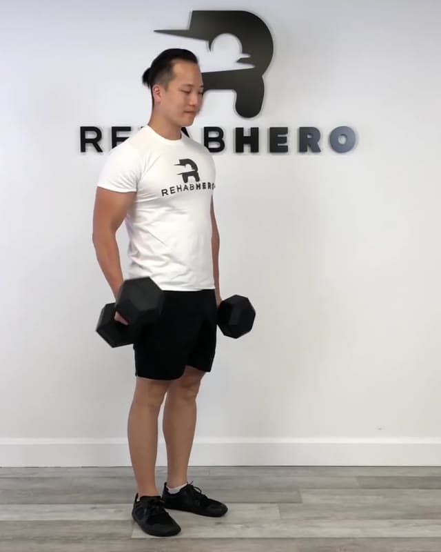 肱二头肌弯举