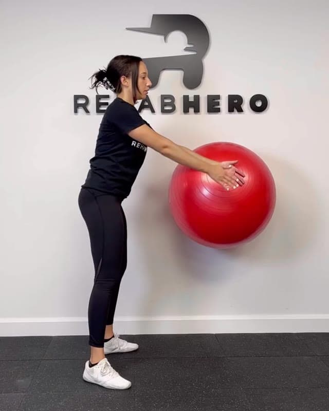 Swiss Ball Pallof Squat