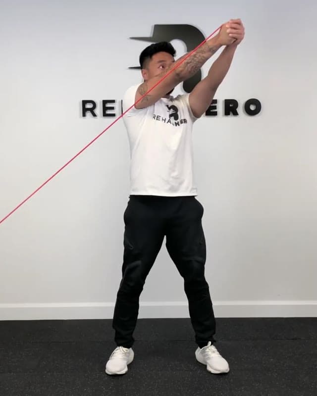 Low to High Wood Chop - Core Exercise for low back pain