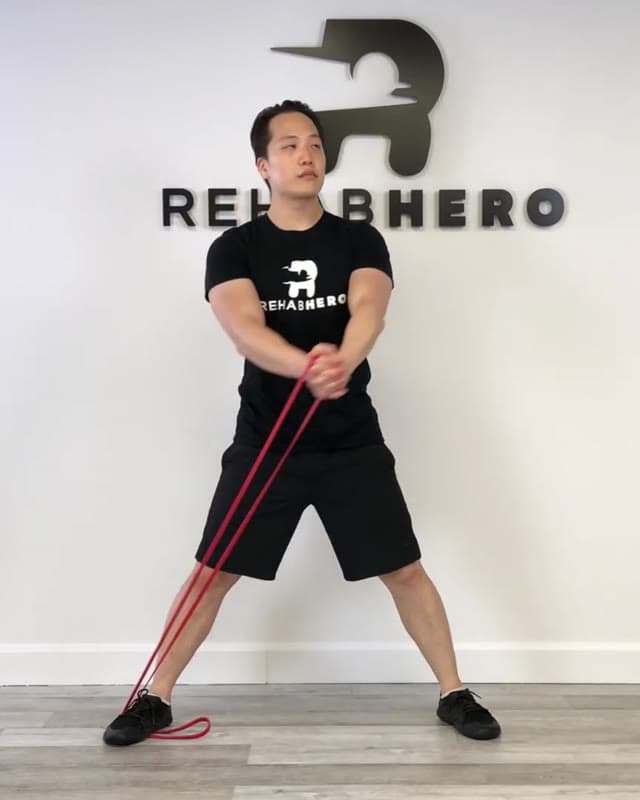 Low to High Wood Chop - Obliques Exercise for Abs