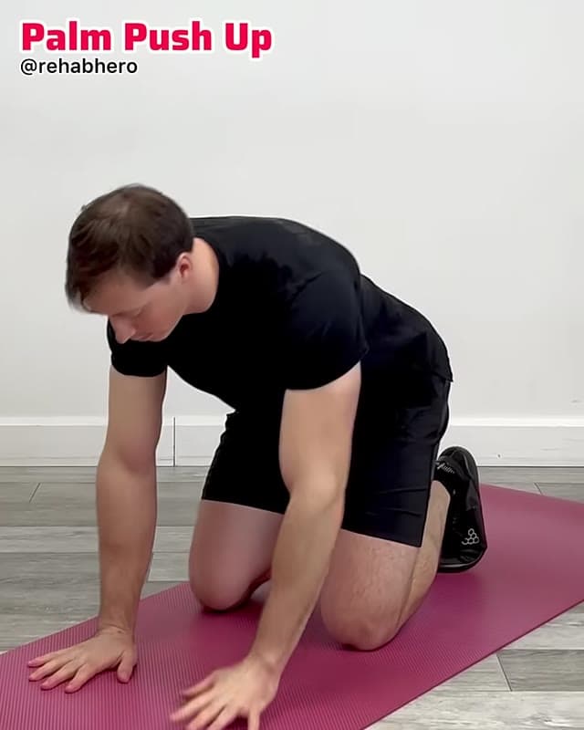 Palm Push Up