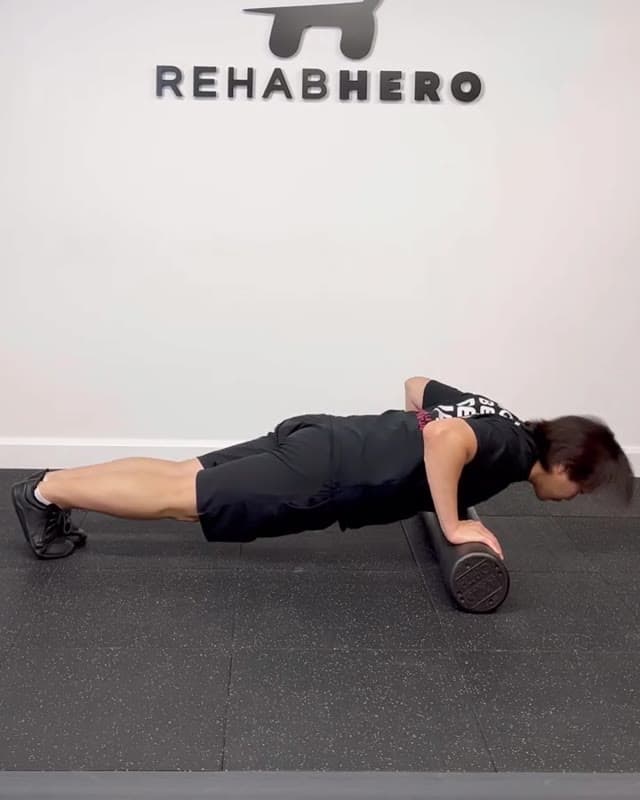 Foam Roller Push Up