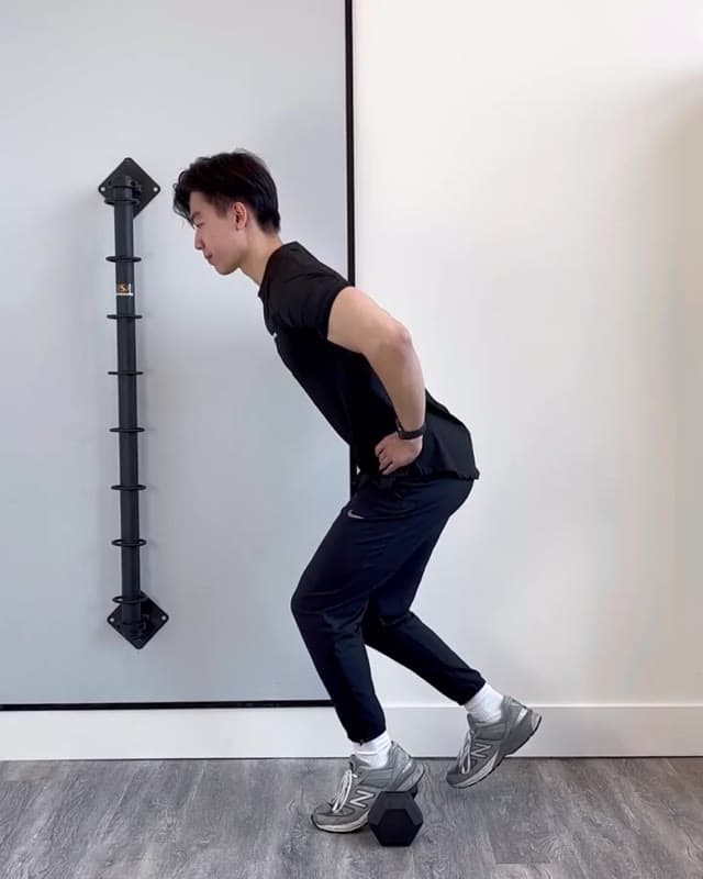 Single Leg Decline Squat