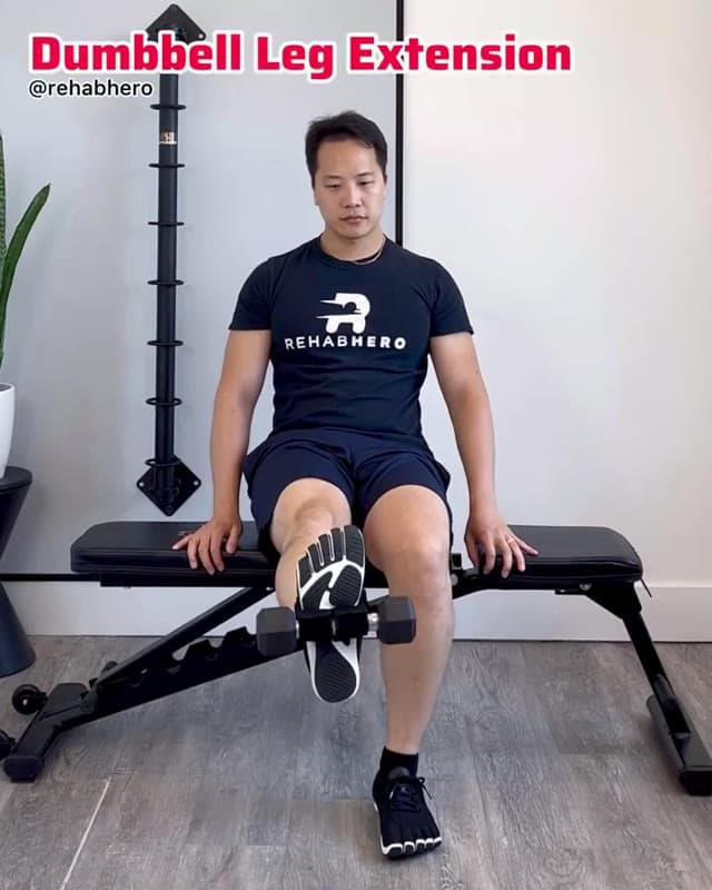 哑铃腿伸展
