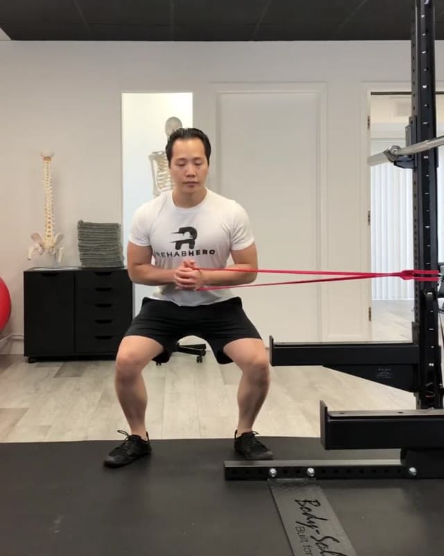 Half Squat Pallof Side Step - Anti-Rotation Core Stability Exercise