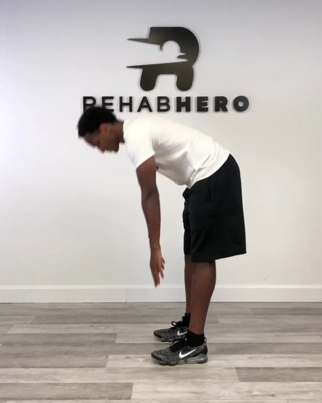 Elephant Walks
