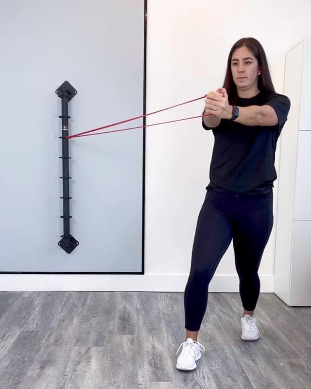 Modified Eccentric Pallof Press - core strengthening exercise for the internal and external oblique