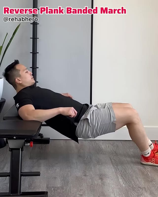 反向平板弹力带踏步