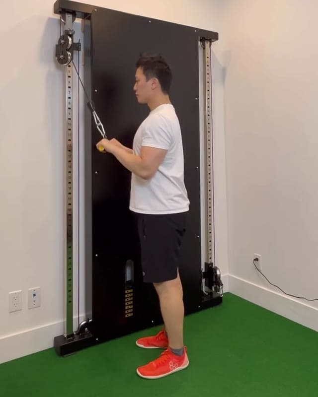 Triceps Pushdown - triceps strengthening exercise