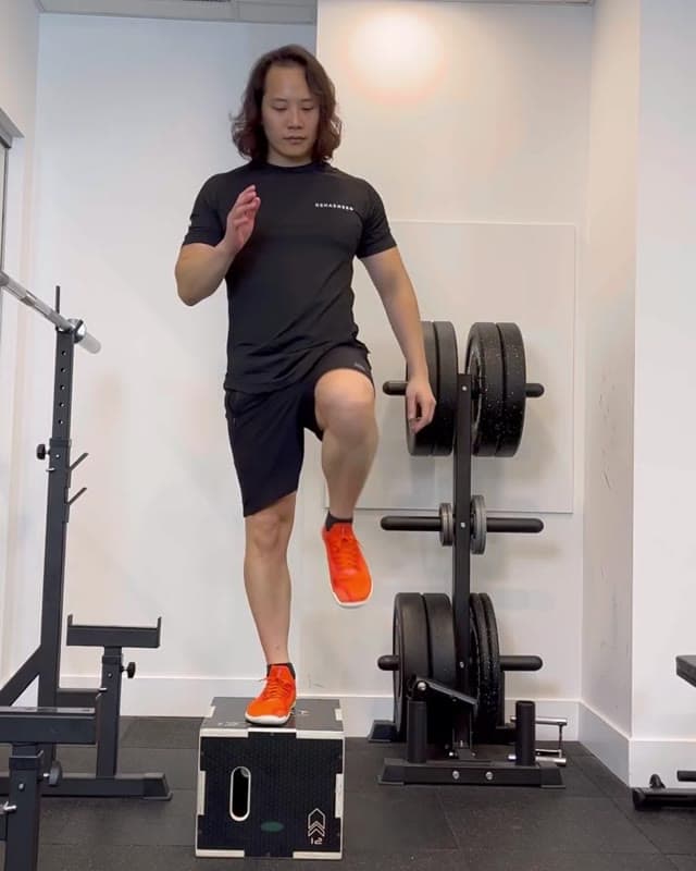 Lateral Step Up