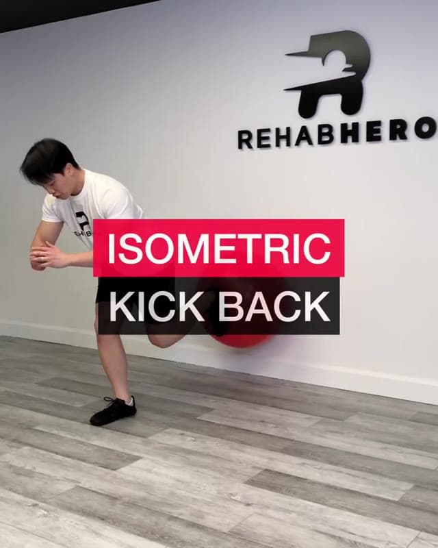 Isometric Kick Back