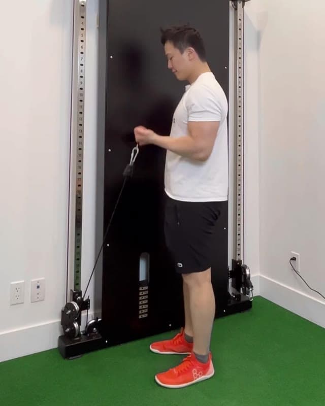 Straight Bar Cable Curl