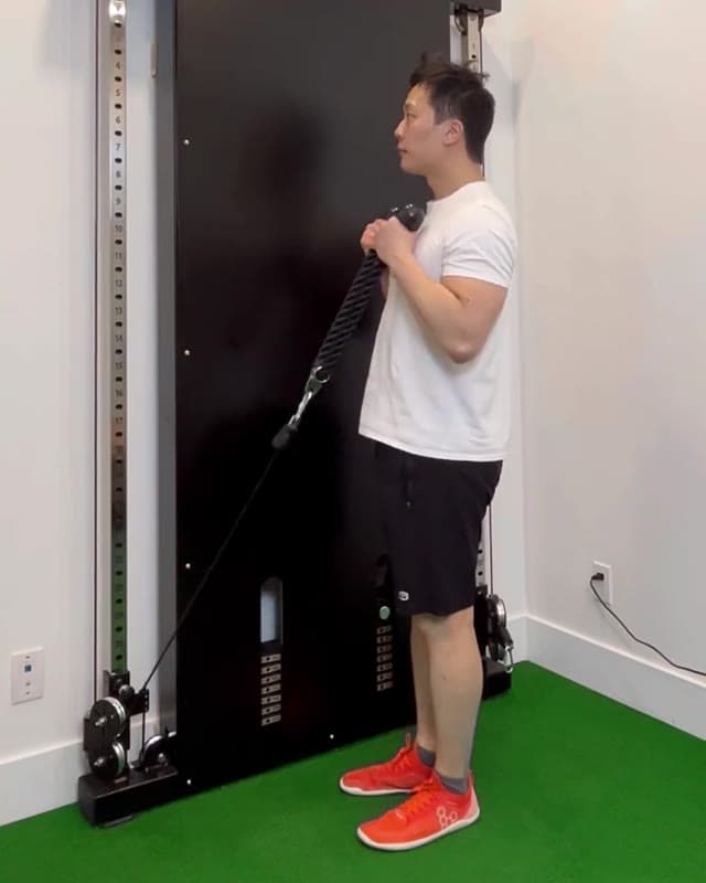 绳索锤式弯举
