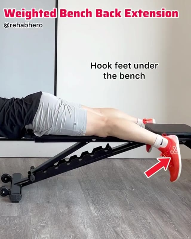 Weighted Bench Back Extension