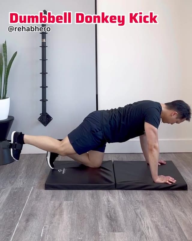 Dumbbell Donkey Kick