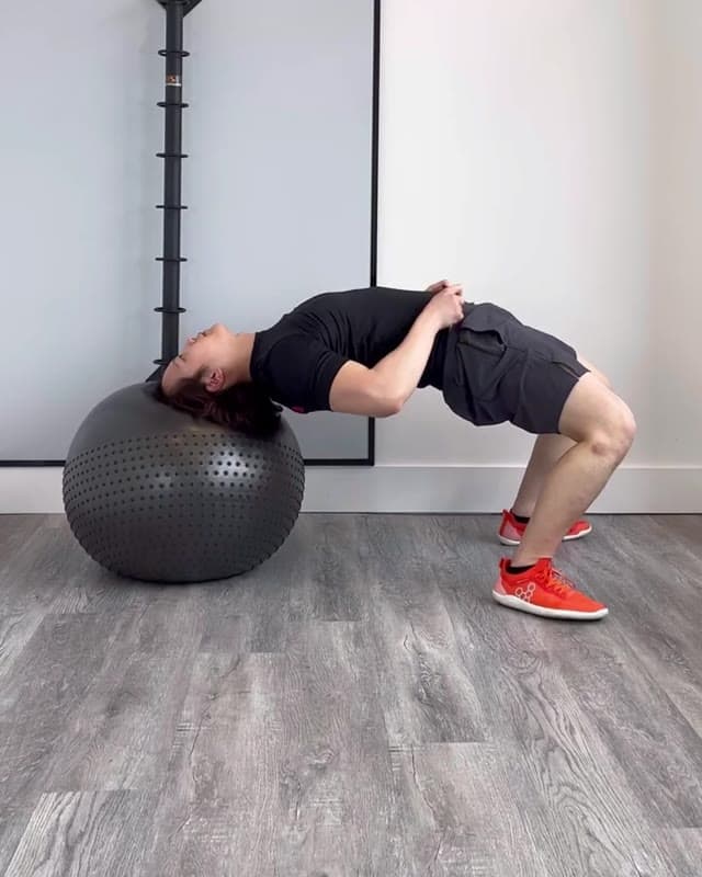瑞士球颈桥