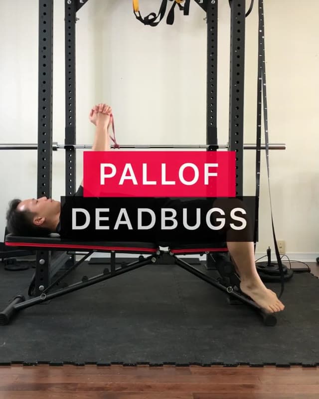 Pallof Deadbugs