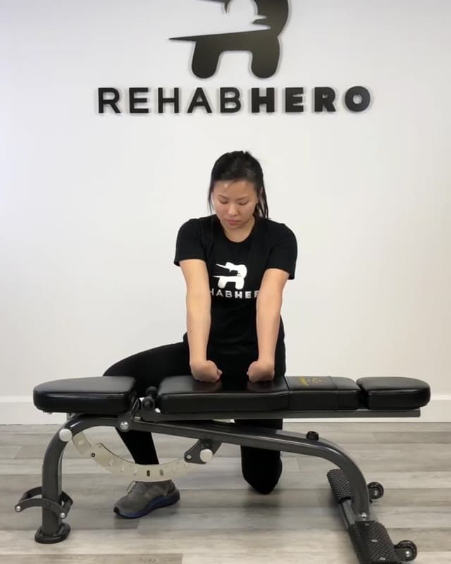 Wrist Extensor Rotation Stretch