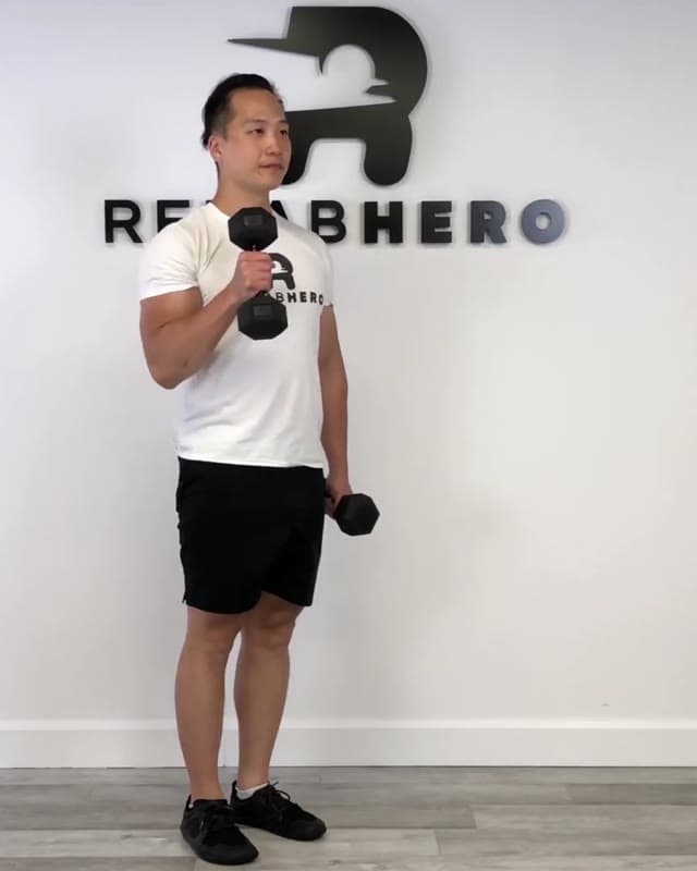 Hammer Curl & Punch