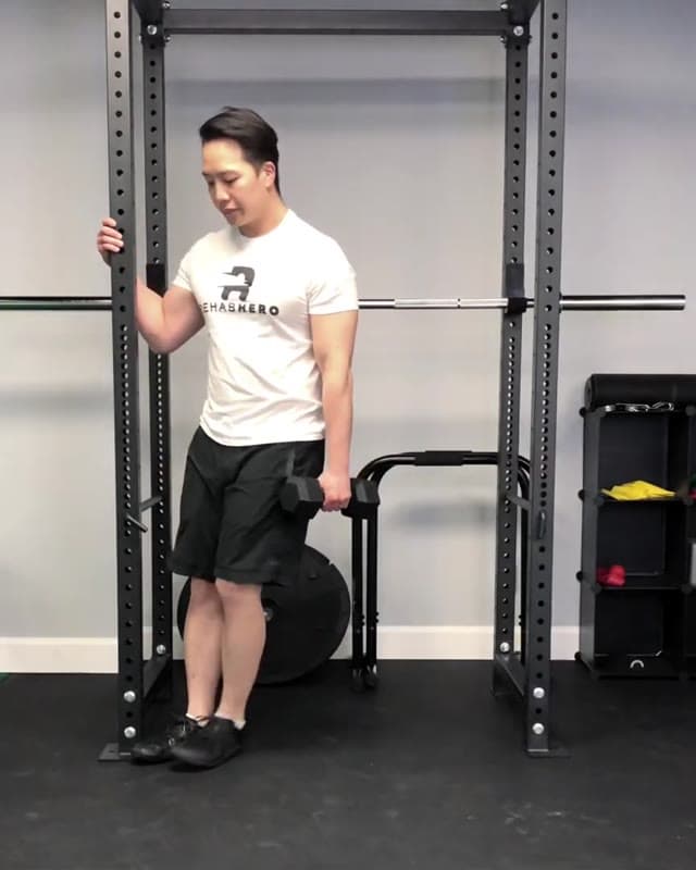 Hanging Lateral Raises
