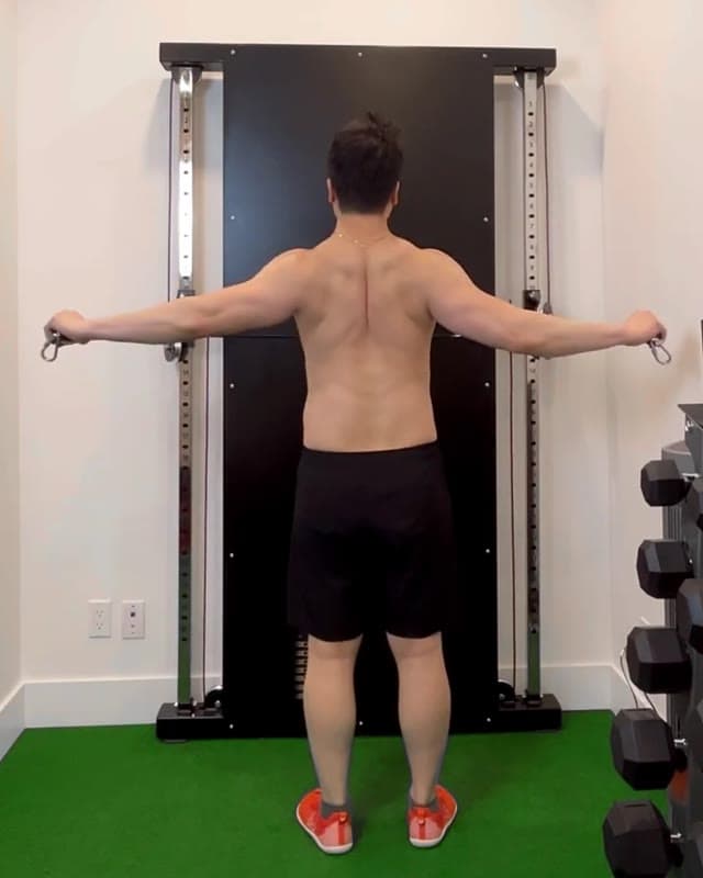 Cable Reverse Fly