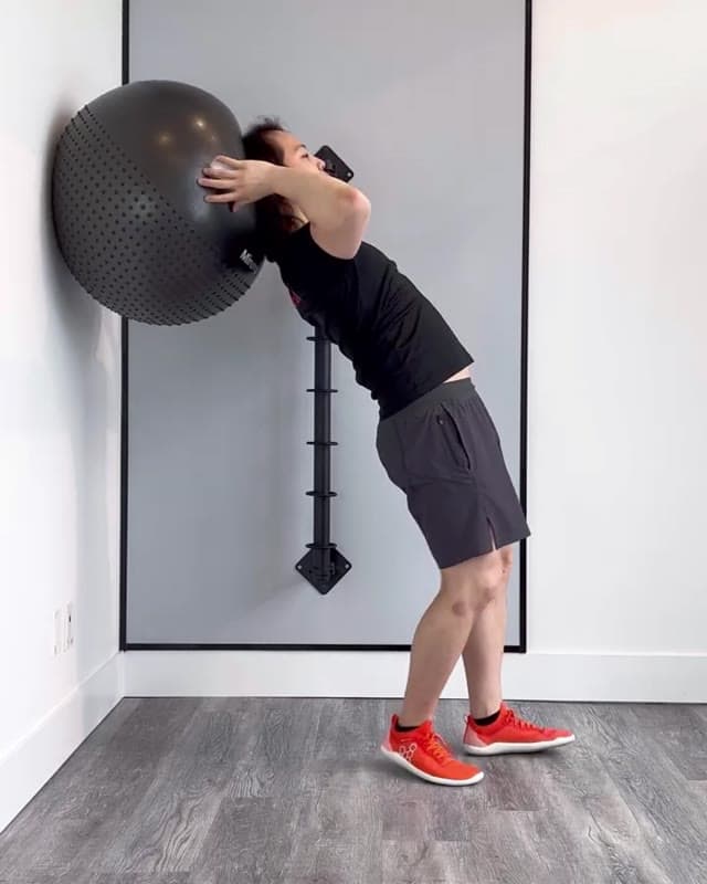 Swiss Ball Isometric Neck Extension