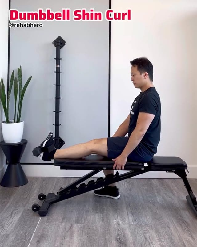 Dumbbell Shin Curl