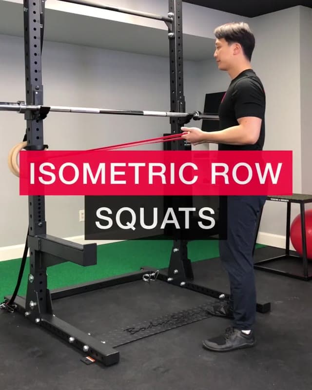Isometric Row Squats