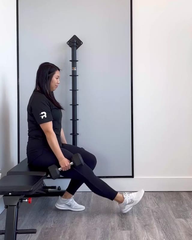 Bulgarian Split Squat - glutes and quadriceps strengthening exercise
