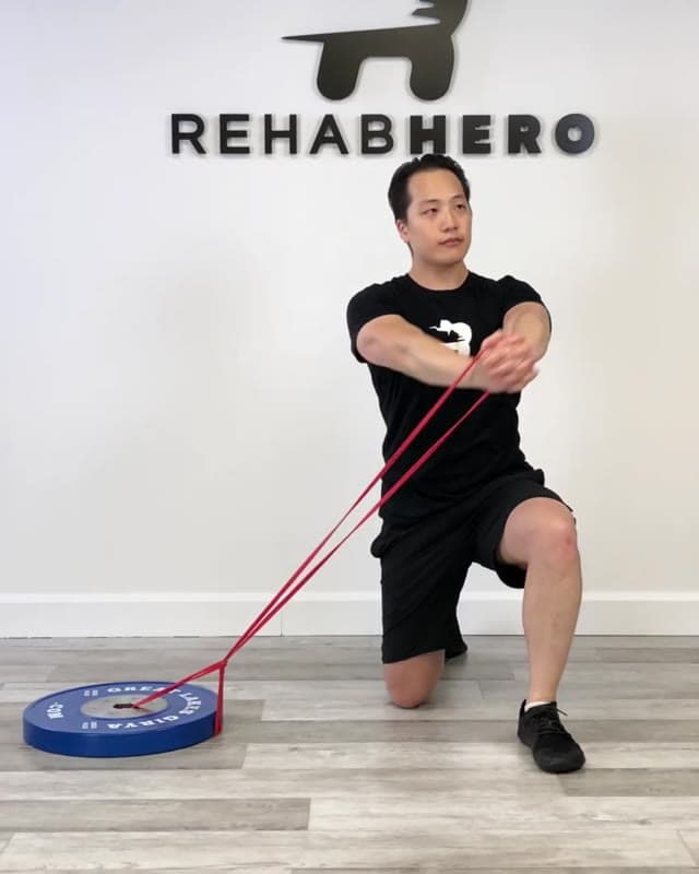 分腿蹲低到高砍劈－腹斜肌与核心训练
