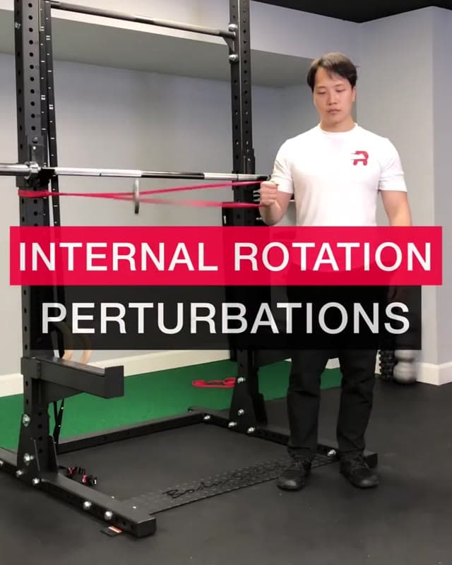 Internal Rotation Perturbations