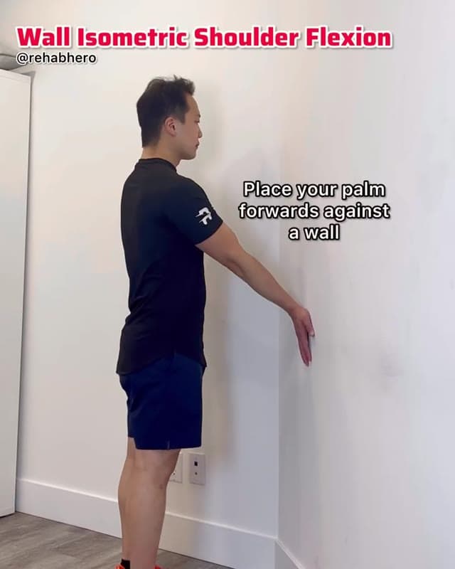 Wall Isometric Shoulder Flexion