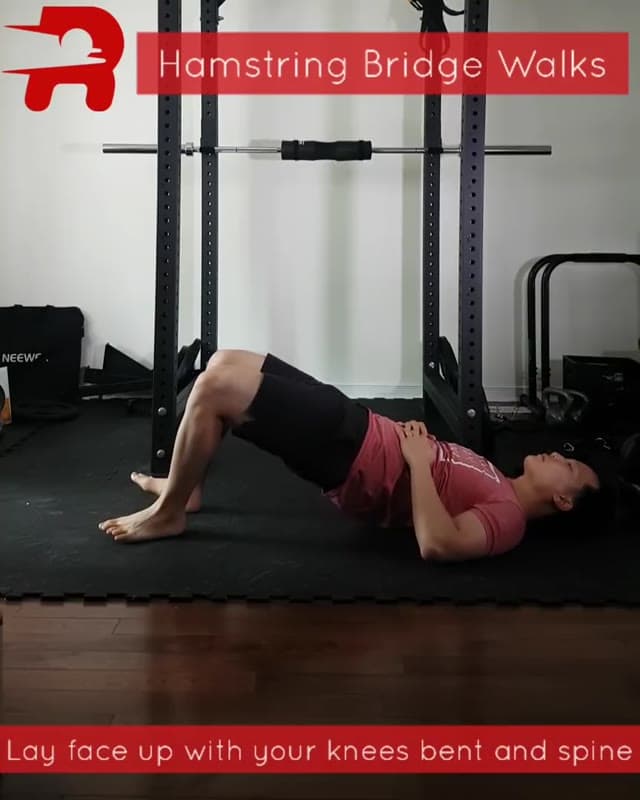 腘绳肌桥式行走