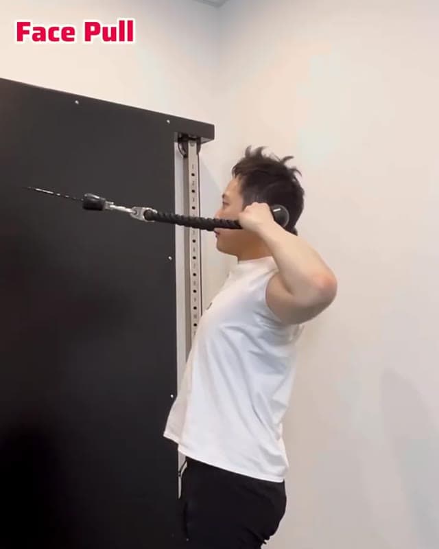 Cable Face Pull
