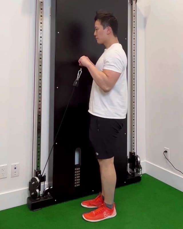 反握绳索弯举